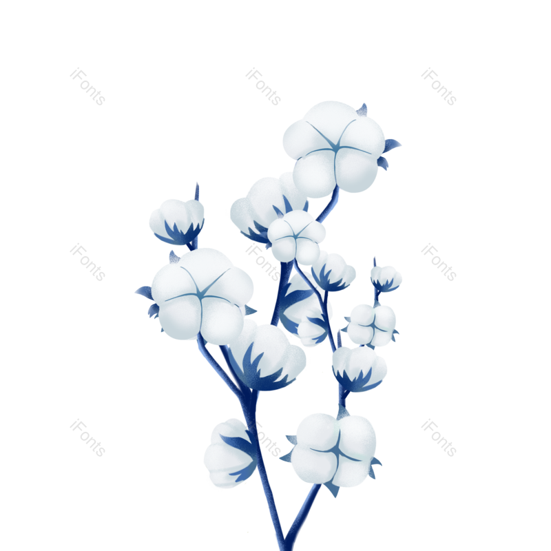 植物素材图片,插画素材元素,PNG,免抠素材